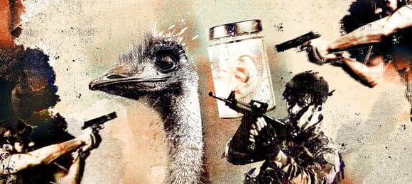 Wojny o pomorskie krowy i ucho Jenkinsa - historia absurdów