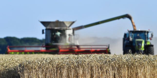 Cadmium : autorités sanitaires accusées d'ignorer le bio
