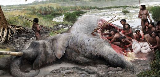 Neandertaler jagten vor 125.000 Jahren Waldelefanten in Lehringen